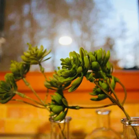 Tatil Evi Liptov Svaty Kriz